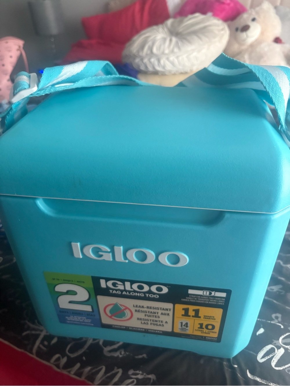 Igloo Cooler in Bright Turquoise with Striped Strap
